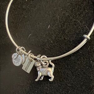 Alex and Ani kitty cat charm bracelet, silver tone